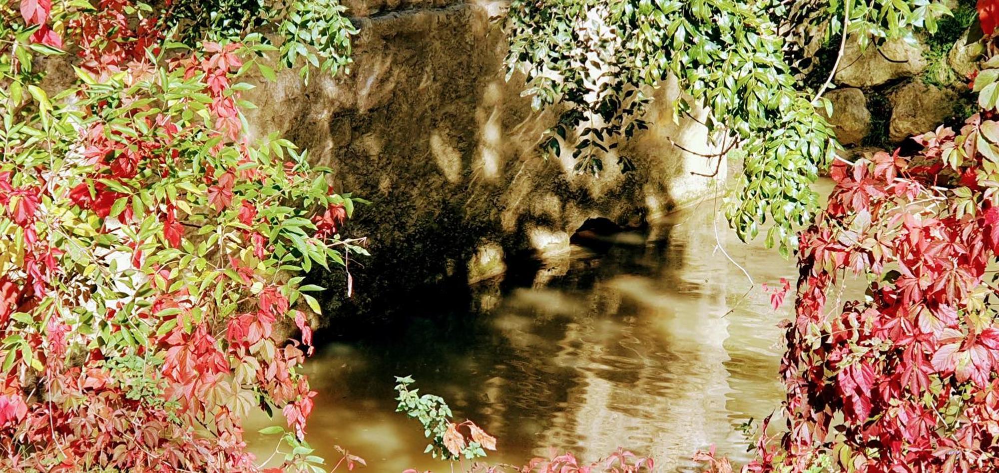 Le Moulin De Laumet * Vic-Fezensac