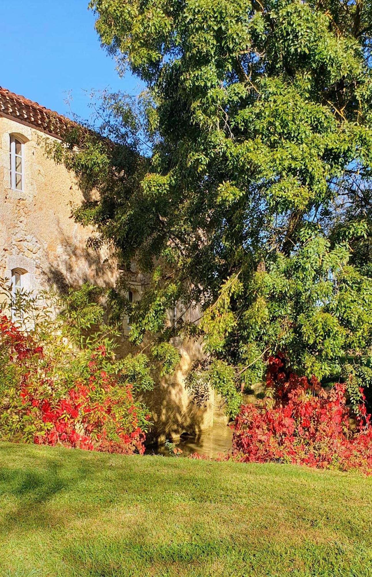 Le Moulin De Laumet Guest house Vic-Fezensac